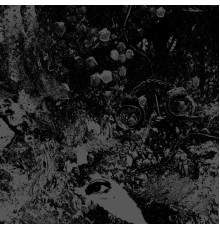 Primitive Man & Unearthly Trance - Split