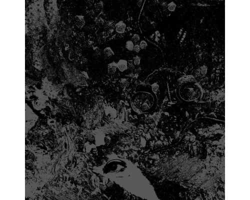 Primitive Man & Unearthly Trance - Split