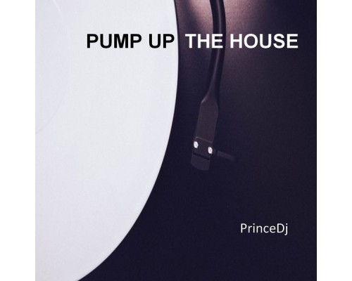 PrinceDJ - Pump up the House