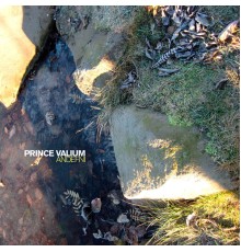 Prince Valium - Andefni