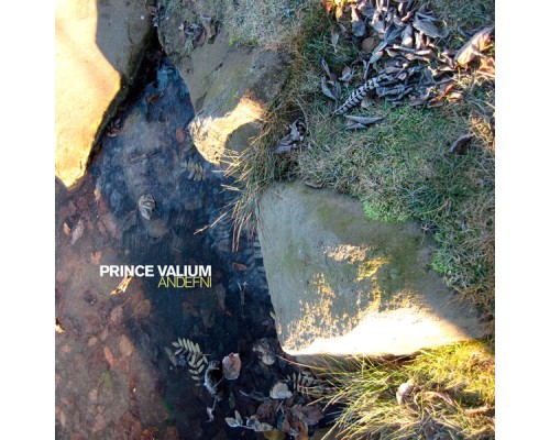 Prince Valium - Andefni