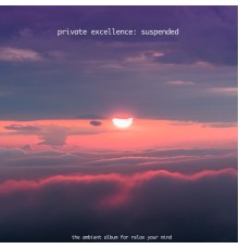 Private Excellence - Suspended