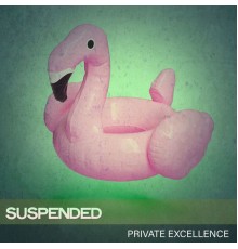 Private Excellence - Suspended