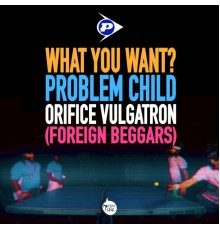 Problem Child - WHAT YOU WANT?