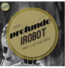 Profundo - iRobot EP (Original Mix)