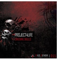 Project4life - Cracking Skulls