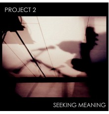 Project 2 - Seeking Meaning