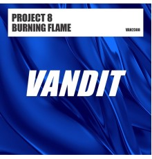 Project 8 - Burning Flame