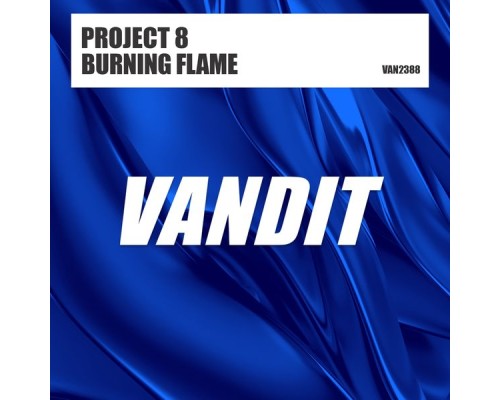 Project 8 - Burning Flame