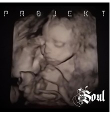 Projekt - Soul