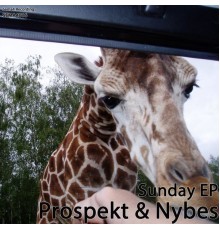 Prospekt - Sunday EP