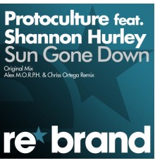 Protoculture feat. Shannon Hurley - Sun Gone Down