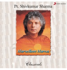 Pt. Shivkumar Sharma - Marvellous Marwa