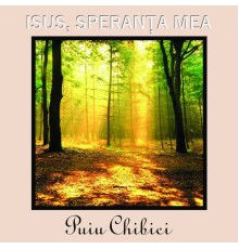 Puiu Chibici - Isus, speranța mea