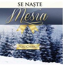 Puiu Chibici - Se Naste Mesia