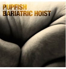 Pupfish - Bariatric Hoist - Single