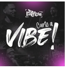 Pura Curtição - Curte a Vibe! (Ao Vivo)