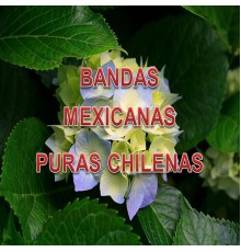 Puras Chilenas - Bandas Mexicanas