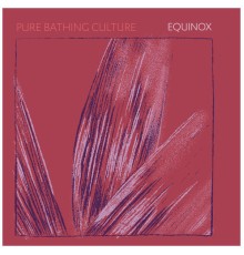 Pure Bathing Culture - Equinox (Acoustic)