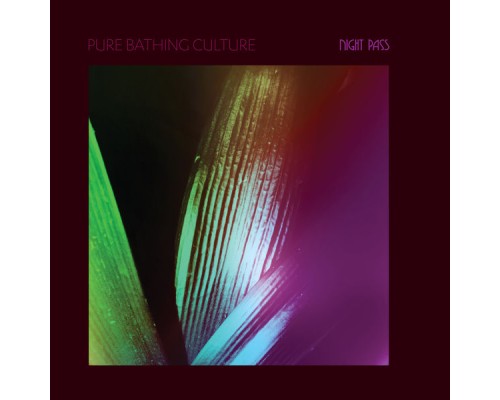 Pure Bathing Culture - Night Pass