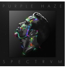 Purple Haze - SPECTRVM