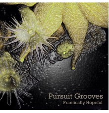 Pursuit Grooves - Frantically Hopeful