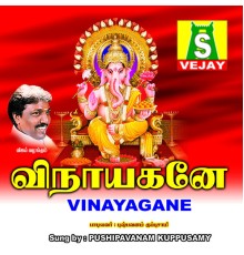 Pushpavanam Kuppuswamy - Vinayagane