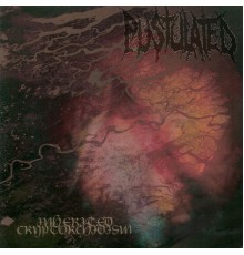 Pustulated - Inherited Cryptorchidism