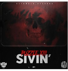 Puzzle XIII - Sivin'