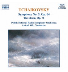 Pyotr Il'yich Tchaikovsky - TCHAIKOVSKY: Symphony No. 5 / The Storm