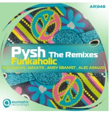 Pysh - Funkaholic Remixes