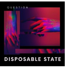 QUESTION. - Disposable State