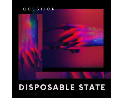 QUESTION. - Disposable State