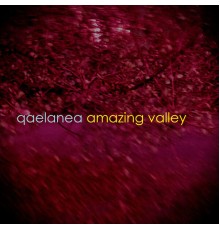 Qaelanea - Amazing Valley