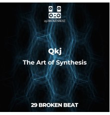 Qkj - The Art of Synthesis