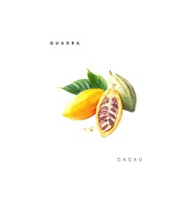 Quadra - Cacau