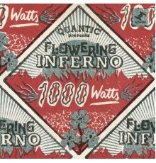 Quantic, Flowering Inferno - 1000 Watts