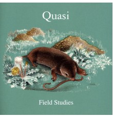 Quasi - Field Studies