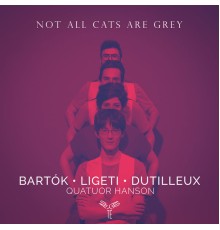 Quatuor Hanson - Not all cats are grey