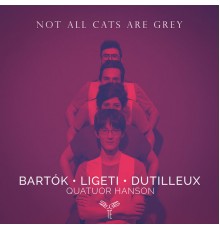 Quatuor Hanson - Not all cats are grey
