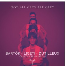 Quatuor Hanson - Not all cats are grey