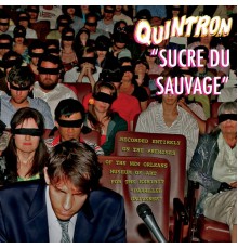 Quintron - Sucre Du Sauvage