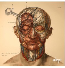 RE_P - Brain Intuitions