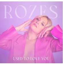 ROZES - Used to Love You