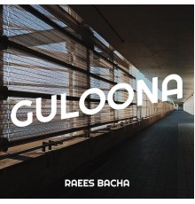 Raees Bacha - Guloona