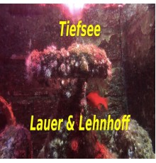 Rahara Chillout - Tiefsee (Lauer & Lehnhoff)