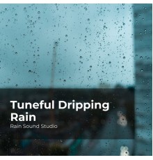 Rain Sound Studio, Meditation Rain Sounds, The Rain Library - Tuneful Dripping Rain