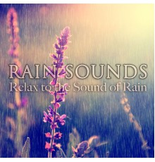 Rain Sounds - Rain Sounds