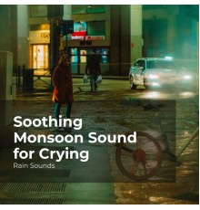 Rain Sounds, Natural Rain Sounds for Sleeping, Rain Storm Sample Library - Soothing Monsoon Sound for Crying