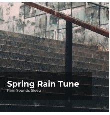 Rain Sounds Sleep, Rain Spa, Rain Sounds for Relaxation - Spring Rain Tune